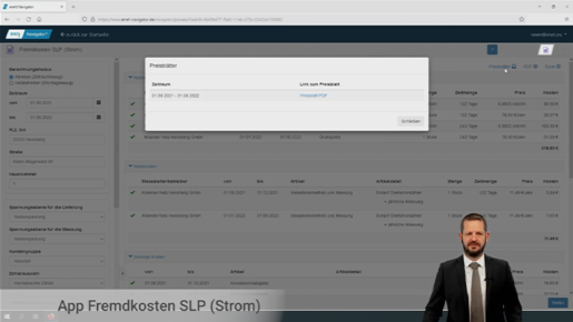 Fremdkosten SLP Strom